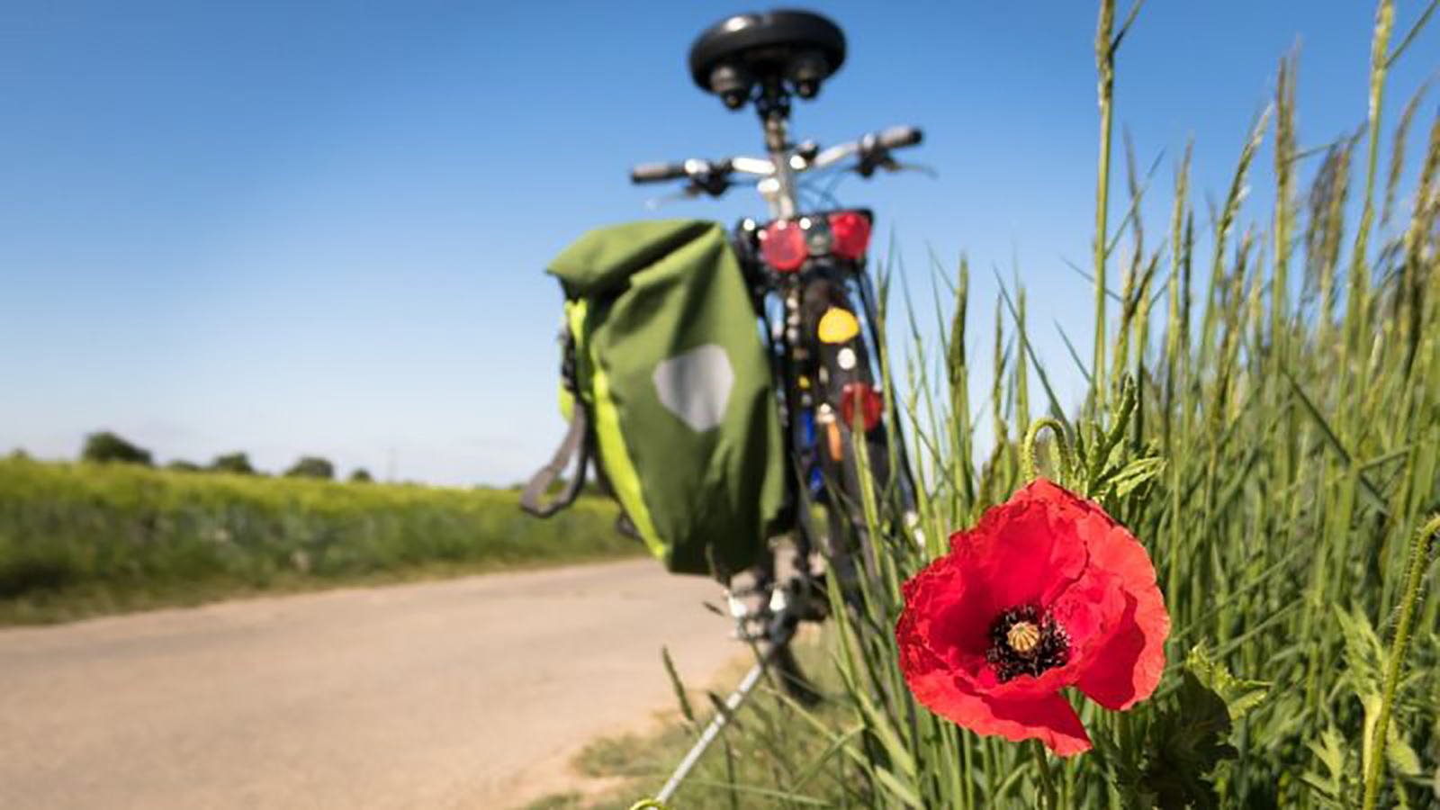 Landkreis Northeim startet STADTRADELN-Kampagne mit Fahrradtag am 25. Mai